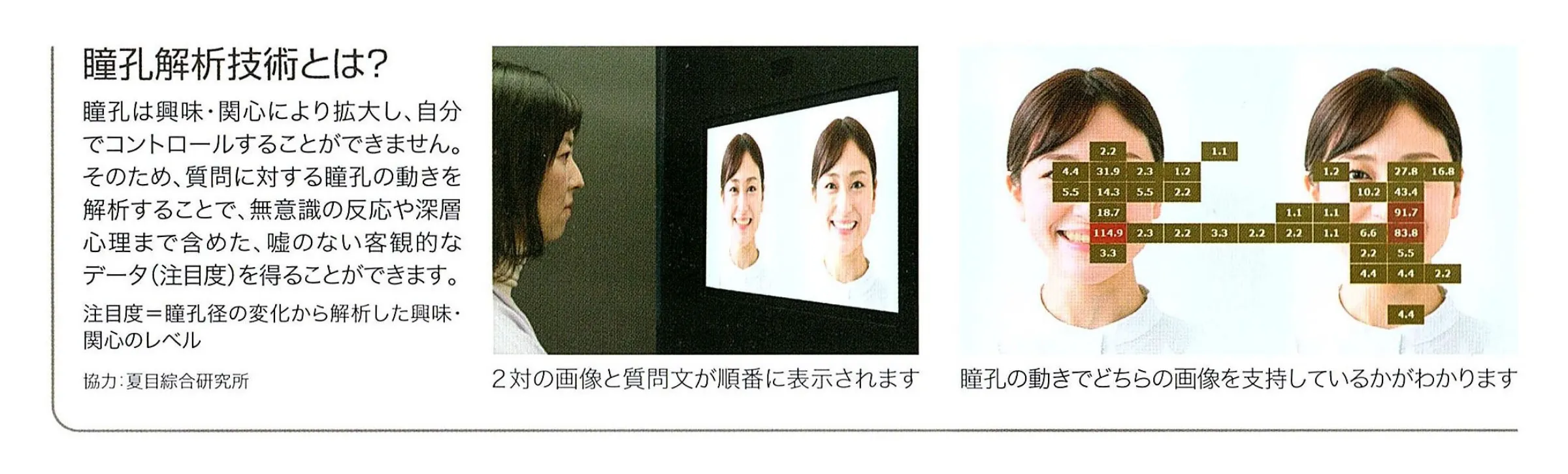瞳孔解析技術とは?