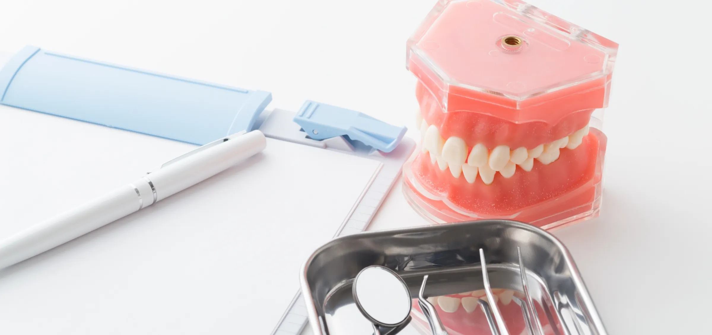 歯の模型とカルテの画像