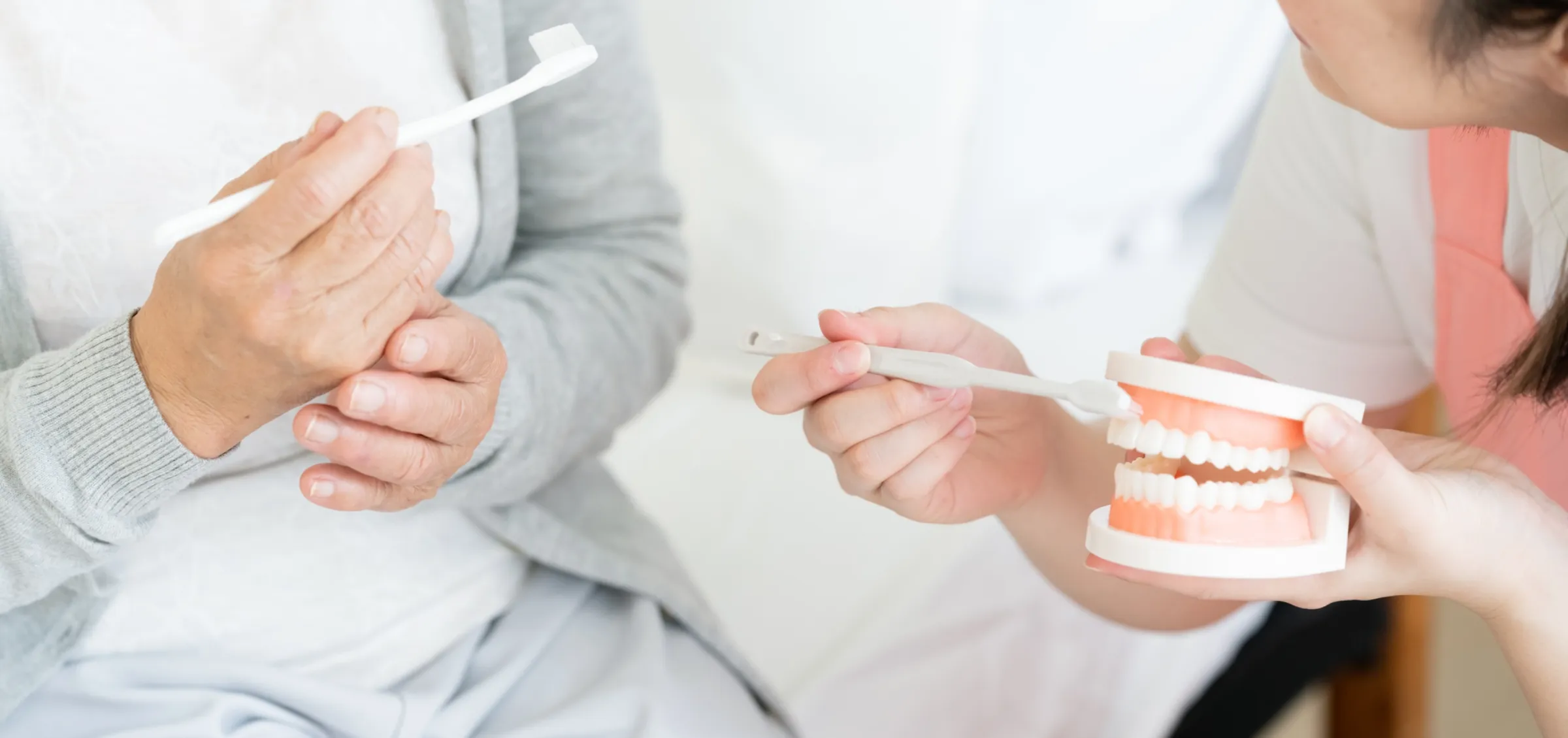 歯の模型に歯ブラシを当て、患者に歯の磨き方を指導する様子